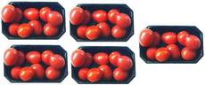 Tomaten-5x9B.jpg